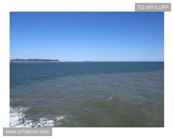 黄渤海七分带两轮后辽青同连败